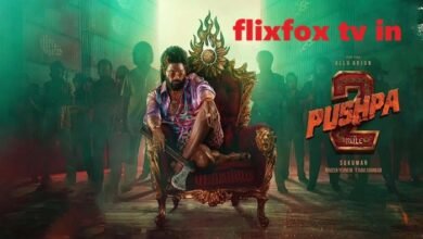 flixfox tv in